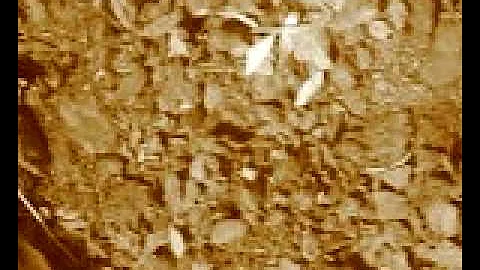 ifhjkoftdhk otr yiri ypoitr uytrw uytrw yutr||||||||||||||