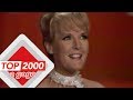 Petula Clark – Downtown | Het verhaal achter het nummer | Top 2000 a gogo