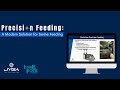 Precision Feeding: A Modern Solution for Swine Feeding