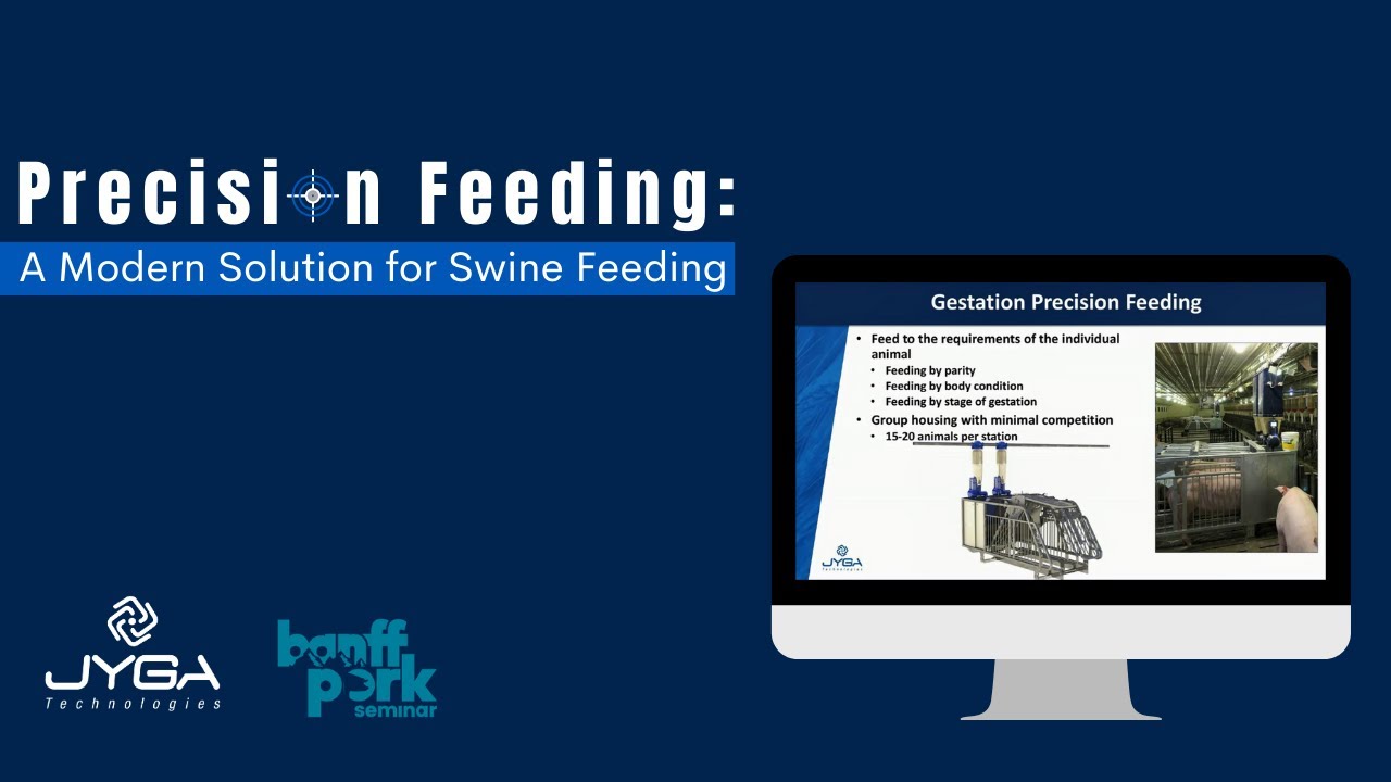 Precision Feeding: A Modern Solution for Swine Feeding