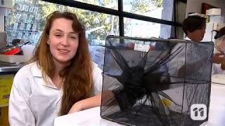 SCOPE TV: Dengue Bacteria
