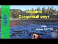 Русская рыбалка 4 - река Нижняя Тунгуска - Чир с лодки