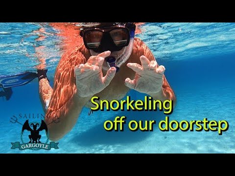 Snorkeling in our backyard - Sailing the Turks and Caicos Ep 55