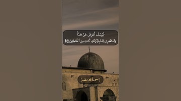سورة يوسف الآية ٢٩ و ٣٠ بصوت الشيخ محمد صديق المنشاوي