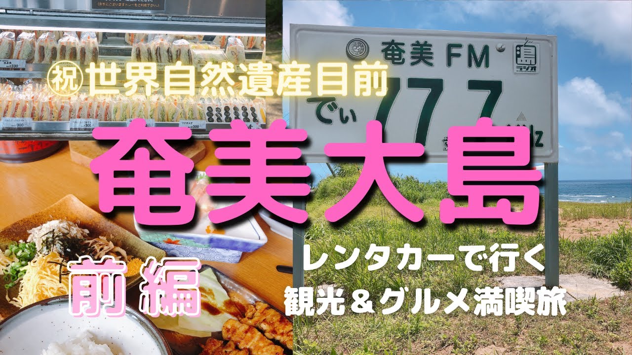 【奄美Vlog】世界自然遺産！！奄美大島2泊3日 観光グルメ満喫旅 1日目♪Amami Island  japan【ぽてたび】