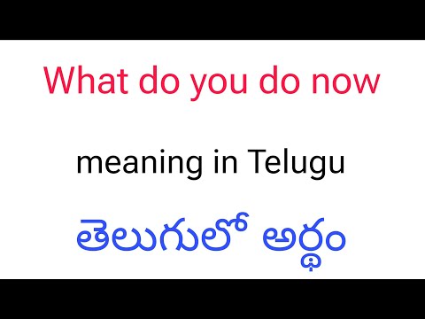 Now What Can I Do Meaning In Telugu