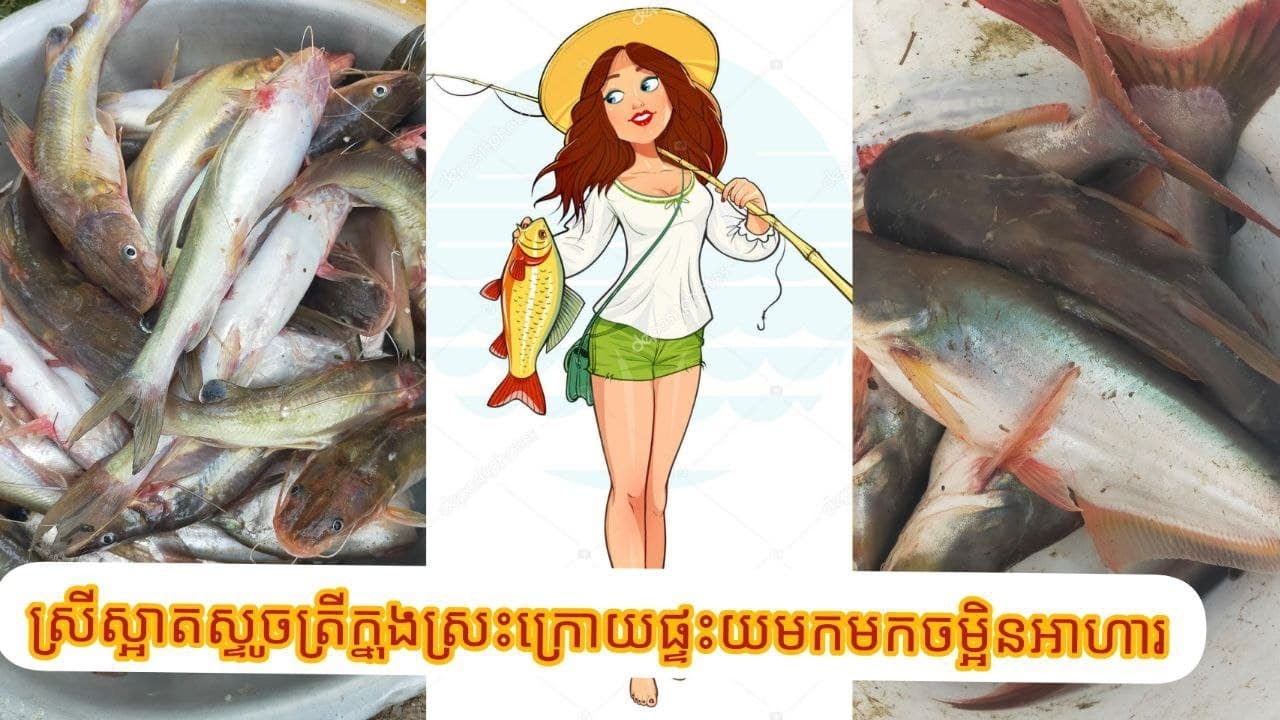 Khmer Views|ស្រីស្អាតស្ទូចត្រី|Beautiful Lady Fishing
