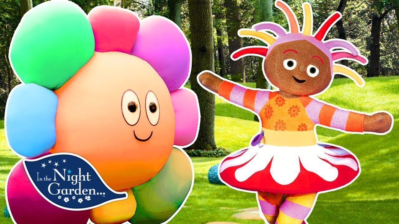 Dobranocny Ogród - Wszyscy Jadą Ninky Nonkiem - Bajka Po Polsku