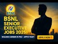 🔥BSNL Hiring 2025! Senior Executive Trainee Jobs for Engineering &amp; Finance Graduates – Apply Now!🔥