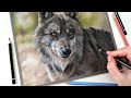 How to combine Colored pencil and Pastel pencil on Pastelmat | Real time