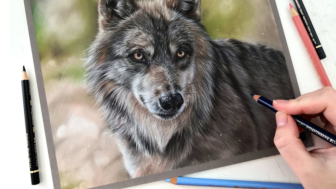 Difference Between Prismacolor and Pitt Pastel Pencils — The Colin