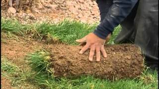 $2 Turf Rebate