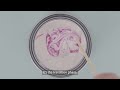 Mythbusters: Perimenopause | AXA Health