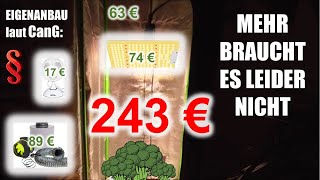 Das 3 Pflanzen Growbox Komplettset für 243 € 🥦 | Eigenanbau CanG (25 Gramm Version) | Legalisierung Resimi
