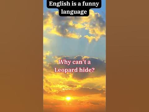 #english is a #funny language. Why Can't Leopards Hide? 🐆 #Shorts - YouTube
