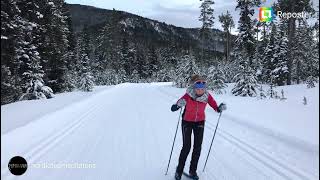 XC Ski Technique, weight transfer