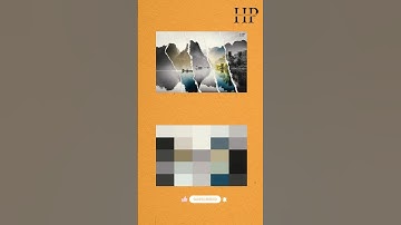 Create color palette from IMAGE 🖼️🎨