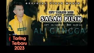 NEW Tarling Terbaru 2023 / 2024 | Salah Pilih | Ali Gangga | Oficial video