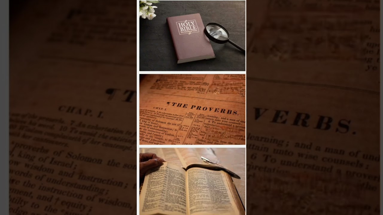 Bible Audio Reading in Telugu – Proverbs 11–15 📖🎧