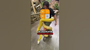 "The Snake That Whispers Death" #creepystories #scarry #horrorstories #scary @BlueSpooky