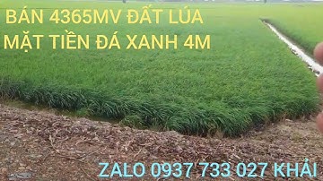 T752.bán 4365mv đất lúa.mặt tiền khủng 92m.view kênh xáng.đường xe tải chạy.Tân Thành.Mộc Hóa LA