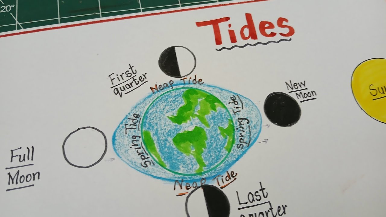 Tide Map Drawing How to draw and explain Tides / Tides drawing and explanation - YouTube