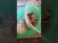 Большая часть животных- старички и инвалиды… всегда нуждаемся в 🙏🏼+79278920802