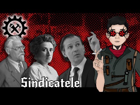 Video: Ce Sunt Sindicatele