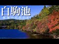 【夫婦登山】2023.10.7 白駒池紅葉｜北八ヶ岳白駒池周回ゆるハイクと白駒荘でカフェタイム