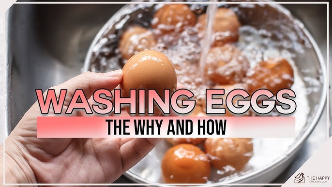 How to Clean Farm Fresh Eggs! 