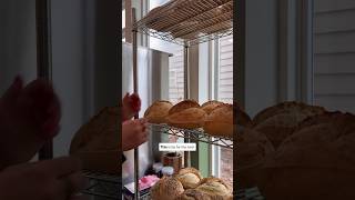 The Best Purchase I've Made For My Sourdough Bakery... The Best Purchase I've Made For My Sourdough Bakery...