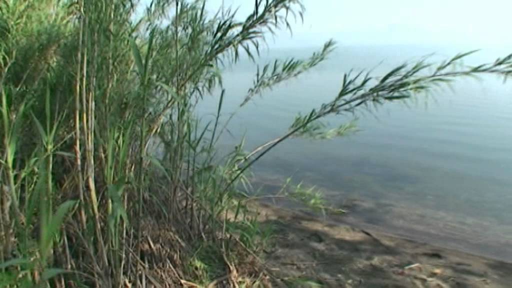 Ferienhaus ROM Italien eigener Strand House Rental Rome Italy private beach Lake Bracciano See