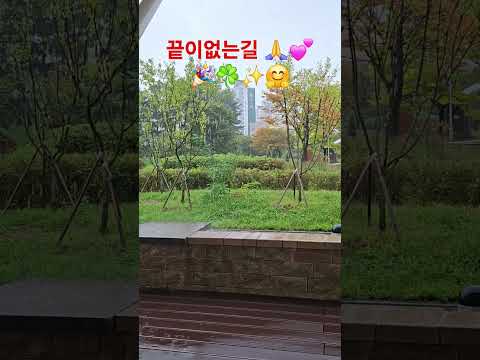 끝이없는길 박인희 정서주 커버곡