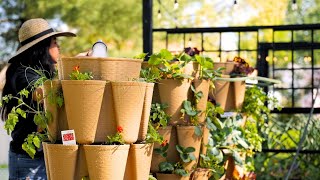 Buying veggie starts and setting up a SALSA planter!