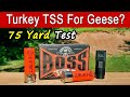 Tss turkey ammo for goose hunting long range test