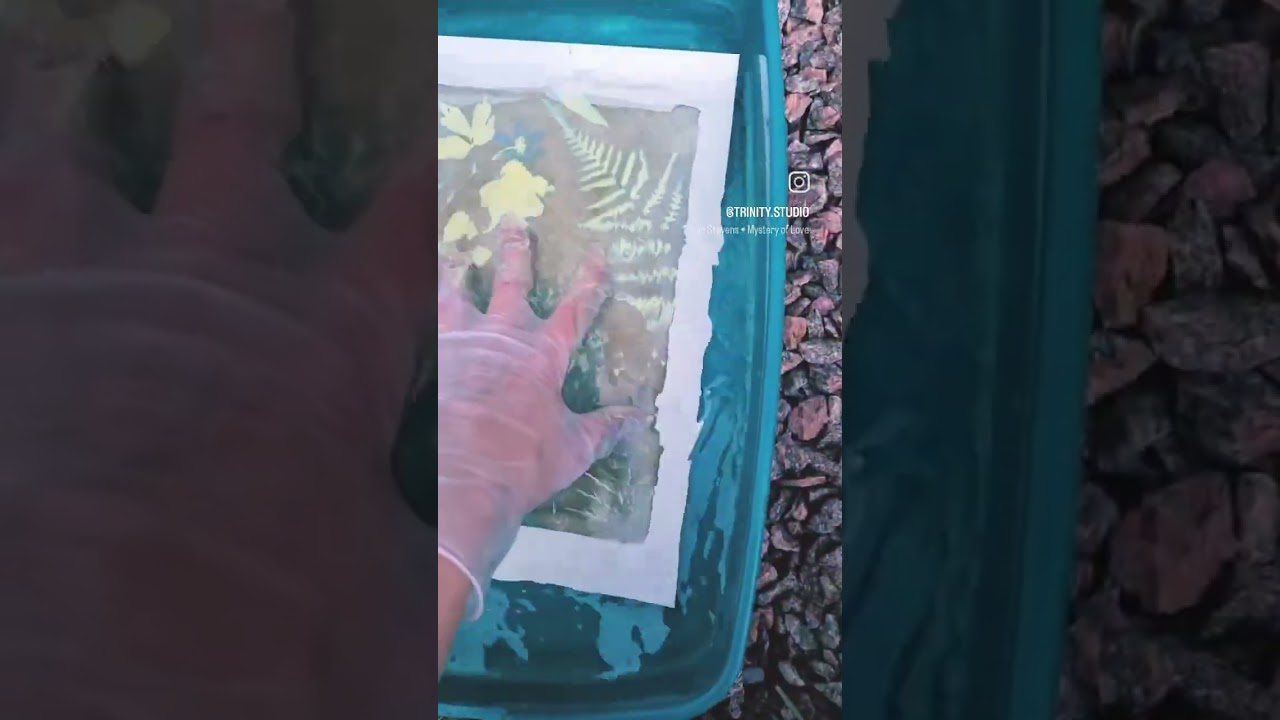 Будда в папоротниках. 