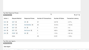 Web Performance Monitoring: In-Depth Analysis of HTTP Traffic