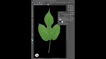 Easily Define Brush Preset in Photoshop #shorts