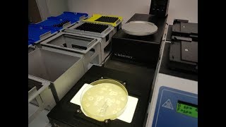 Automated lab for Microbiology - Plating and Colony Picking on the Tecan Fluent