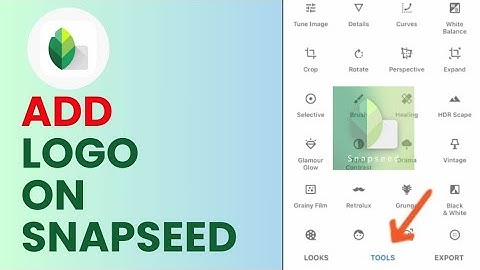 How to Add Logo in Snapseed 2024?