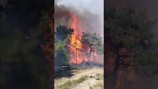 Ülkede Yanmayan Yer Kalmadı. Dualarımızı Eksik Etmeyelim.