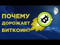 Биткоин идет на $ 330 000? Последние новости Bitcoin и прогнозы экспертов