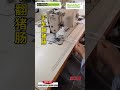 Single needle reversed piping folder (Rope pipping folder)