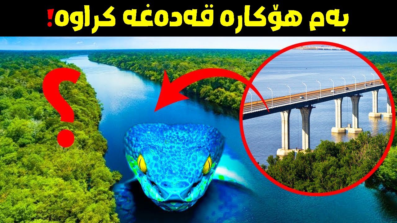 هۆکاری دروستنەکردنی هیچ پردێک بەسەر ڕووباری ئەمازۆن چییە؟ڕاستی ترسناک کە تووشی شۆکت دەکات!!