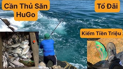 Câu Cá Biển Tự Nhiên, Câu Ghềnh, Câu Cá Bè Trang, Cá Thia Tím, Cá Tà Ma, Cá Mó. Hòn Cân Nhơn Lý.