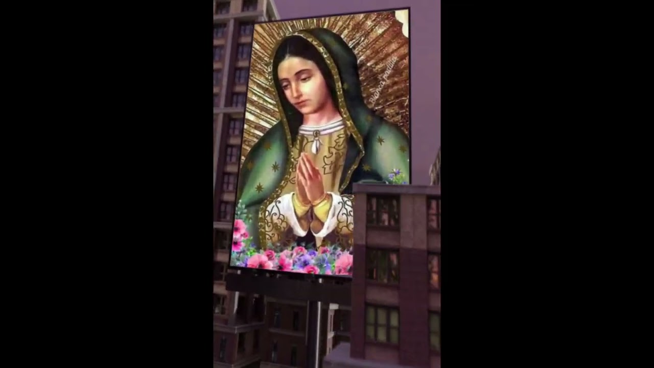 BUENOS DÍAS PALOMA  BLANCA