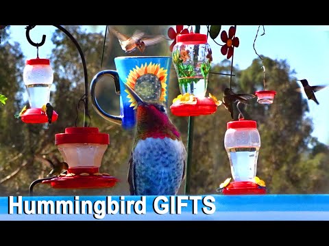 hummingbird-gifts-$1-or-turn-coffee-mug,-peanut-butter/ice-cream-container-into-bird-feeder-&-recipe