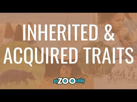 Inherited and Acquired Traits | What&rsquo;s the Difference? | EdZOOcating