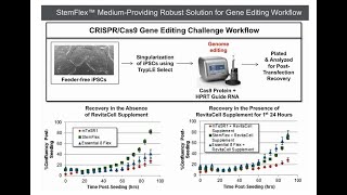 Evolving your stem cell media for modern stem cell applications