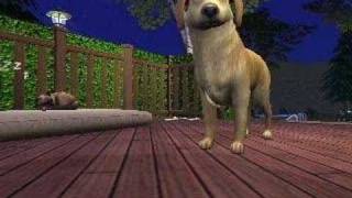 The Sims 2 Pets - 2